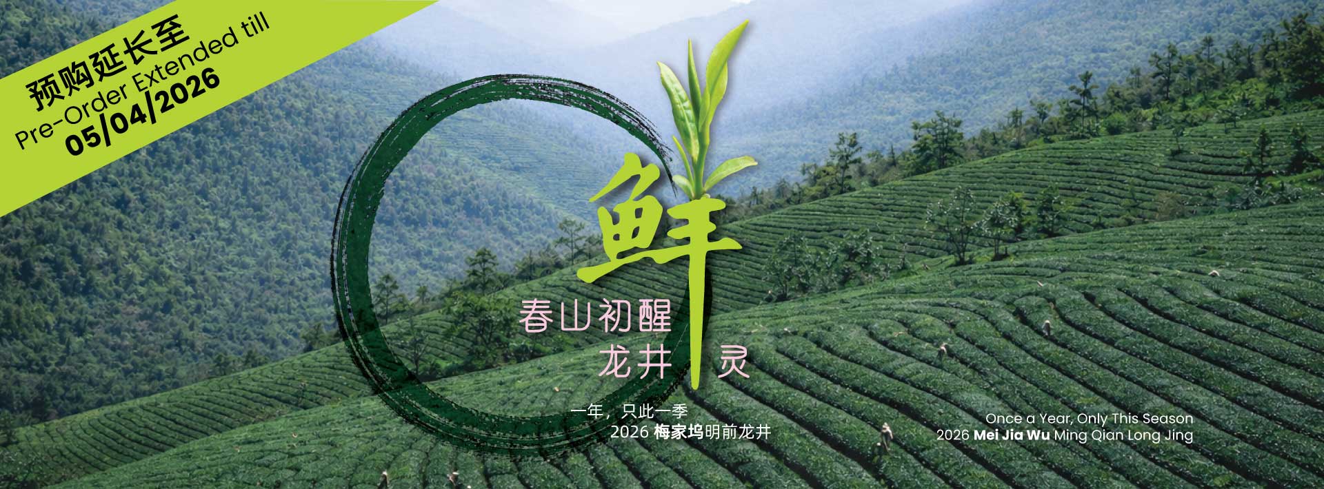 抢先预购今年产区直送的明前龙井，新芽采摘自清明前的早春茶园，豆香清鲜、茶汤甘甜顺口。于紫藤网店预购即可享有高达45%优惠，数量有限，售完即止。适合日常养生清饮，也适合作为送给爱茶朋友与长辈的心意好茶。