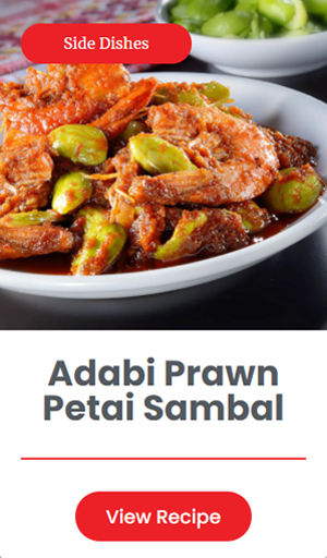 Adabi Official Online Store