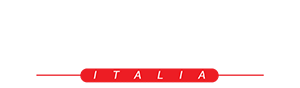 Rubine Demo